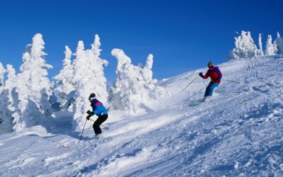 Manali Tour